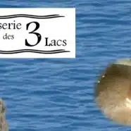 Brasserie des 3 Lacs