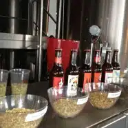 Luzerner Bier