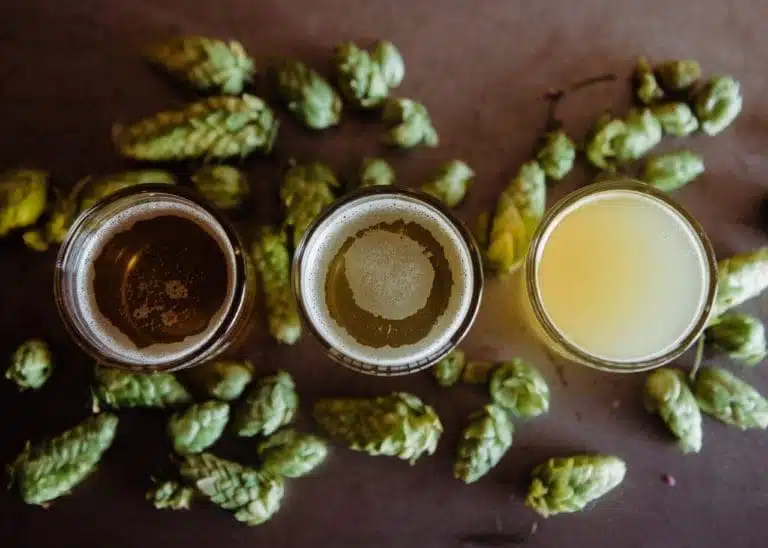 Das Hopfenstopfen (Dry Hopping)