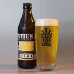 Pale Ale - St. Laurentius Craft Beer