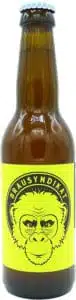 Draft – Brausyndikat