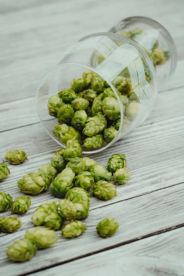 Les différents types de houblon