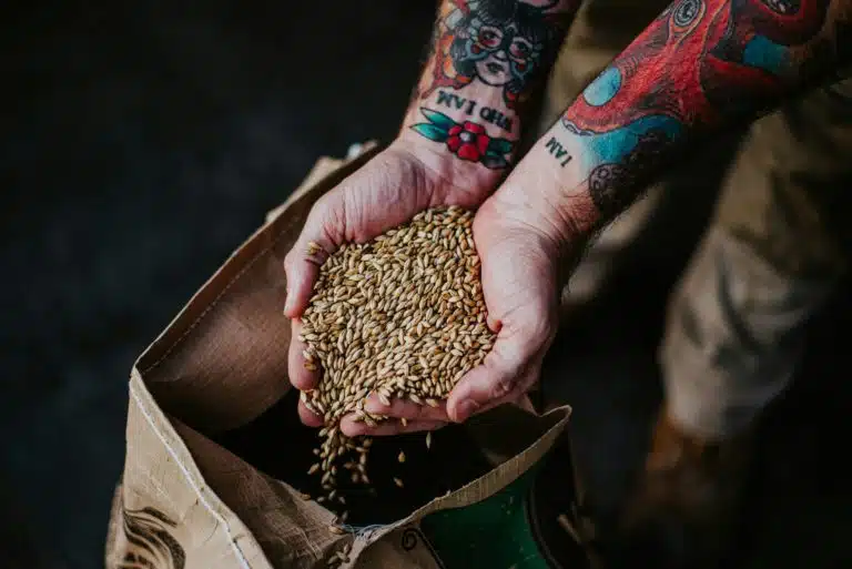 Lüften Sie die Geheimnisse des Mälzens: Die Grundlage für Craft Bier