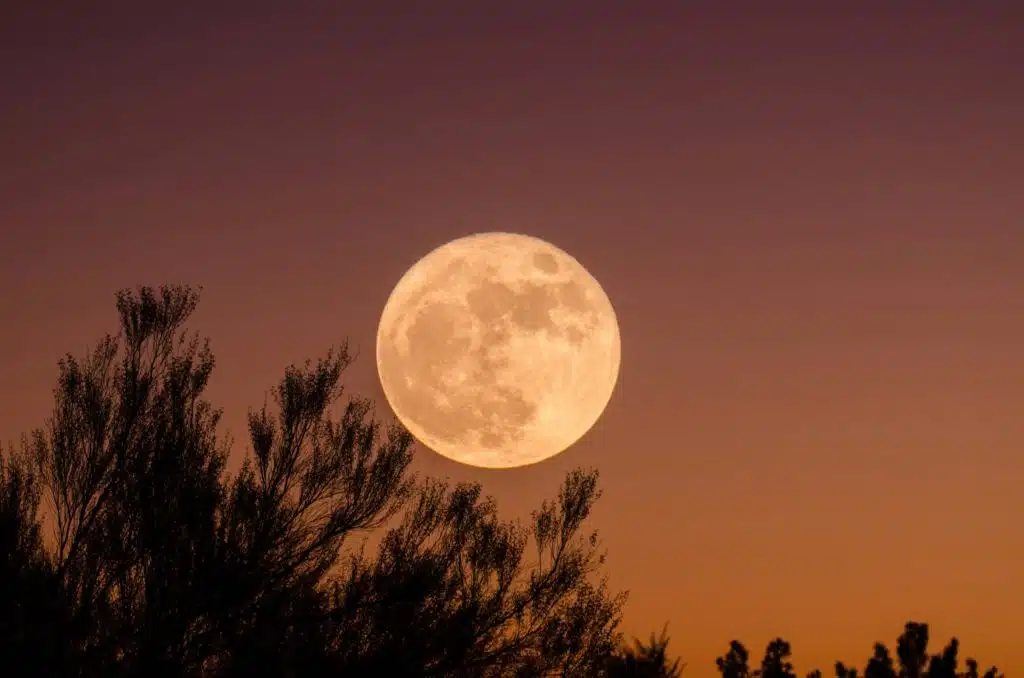 Die Faszination des Brauens bei Vollmond: Mystische Craft-Biere