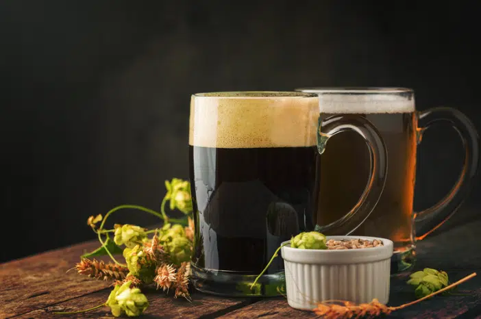 Black IPA – Die dunkle Seite des Hopfens