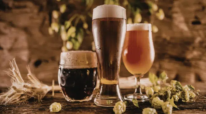 L’amertume dans la bière